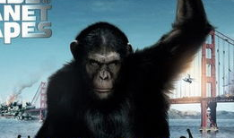 猩球崛起微笑表情包,微笑表情包背后的故事