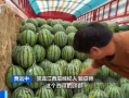 718娱乐吃瓜官网入口,独家入口带你畅游娱乐热点