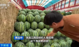718娱乐吃瓜官网入口,独家入口带你畅游娱乐热点