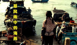 暴风雨中的海燕图片,勇敢翱翔的象征