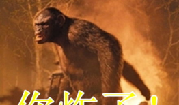 猩球崛起微笑表情包,微笑表情包背后的故事