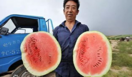 吃瓜百度百科,揭秘网络热点的幕后真相