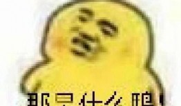 表情吃瓜的含义,揭秘网络社交中的趣味现象