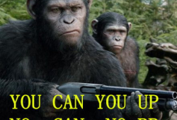 猩球崛起微笑表情包,微笑表情包背后的故事