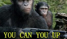 猩球崛起微笑表情包,微笑表情包背后的故事