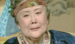 贾母的照片,岁月沉淀下的尊贵与慈爱