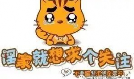 搞笑咨询热线,揭秘搞笑咨询热线背后的欢乐秘密