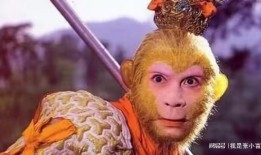 西游记悟空图片,西游记中的传奇英雄