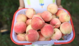 每日大赛吃瓜网直达