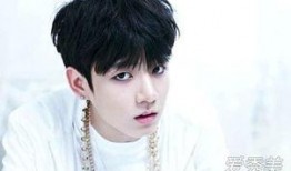 少年团个人资料,星光熠熠的青春面孔，揭秘成员们的成长故事