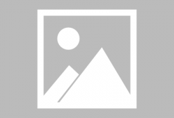 关于猪的搞笑电影,爆笑猪界喜剧大作战