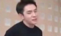 搞笑艺人自首事件,一场意外的喜剧闹剧