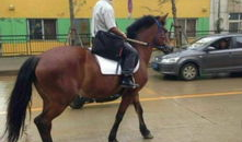 藏族男人骑马照片,藏族男子骑马英姿飒爽