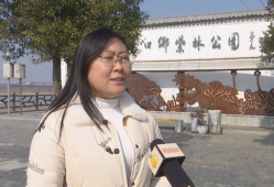 泾口的网红,揭秘网红背后的故事