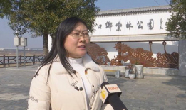 泾口的网红,揭秘网红背后的故事