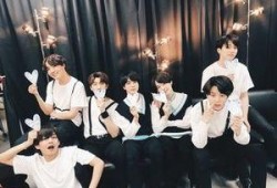 少年团个人资料,星光熠熠的青春面孔，揭秘成员们的成长故事