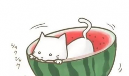 吃瓜百度百科,揭秘网络热点的幕后真相