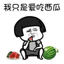 吃瓜娱乐圈动画免费观看